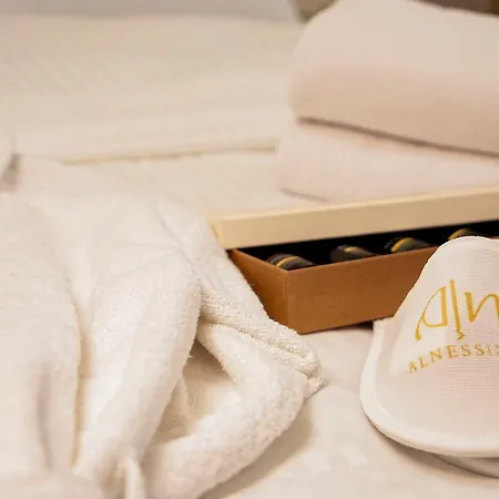 Alness Nisantasi 伊斯坦布尔