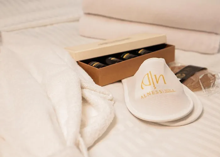 Hotel Alness Nisantasi Provincia di Istanbul